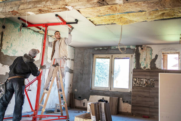 Best Insulation Maintenance and Repair in Lead, SD
